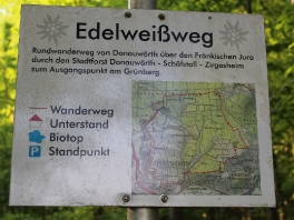 Edelweißweg im Donauwörther Stadtwald_3